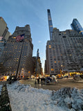B013) Framed Poster Print (5th Av-Central Park)