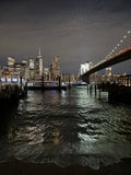 B006) Framed Poster Print (Sink or Swim) [From Brooklyn Bridge Park]