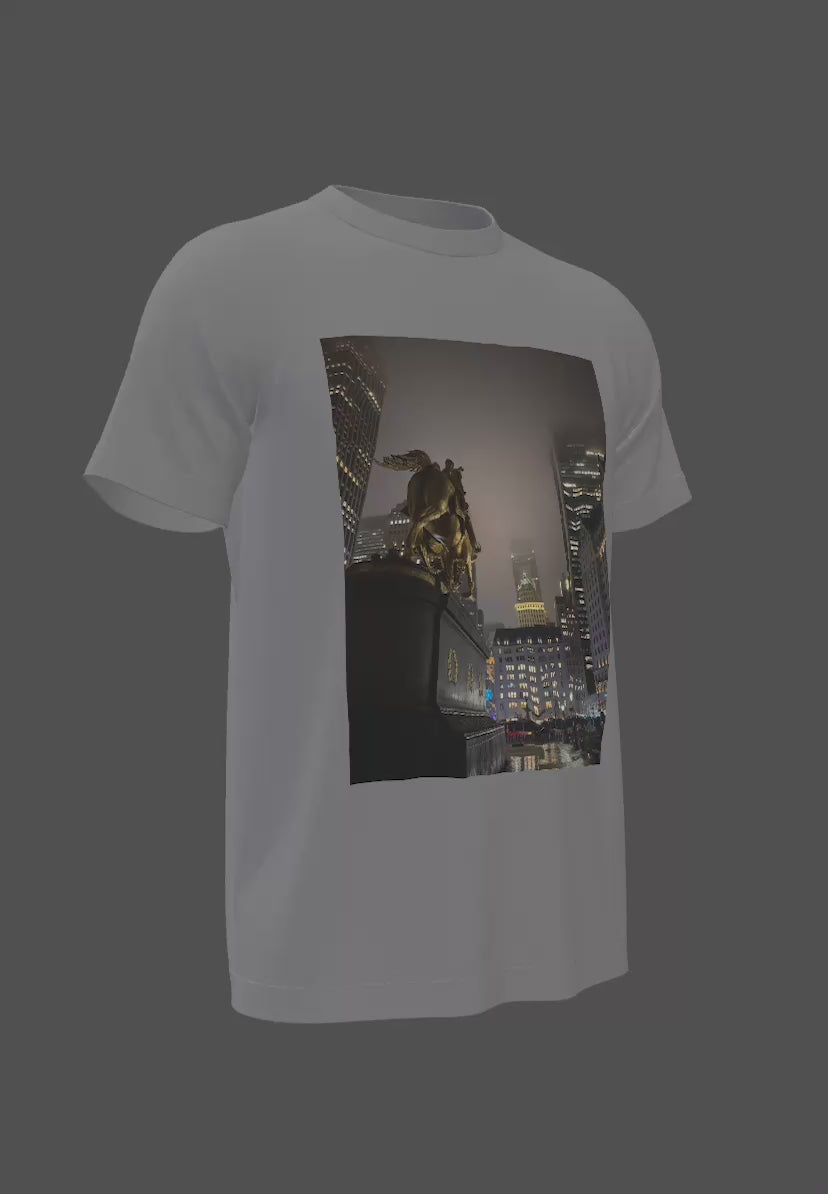 A015) Shirt (5th Av-59 St)